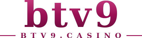 btv9 logo